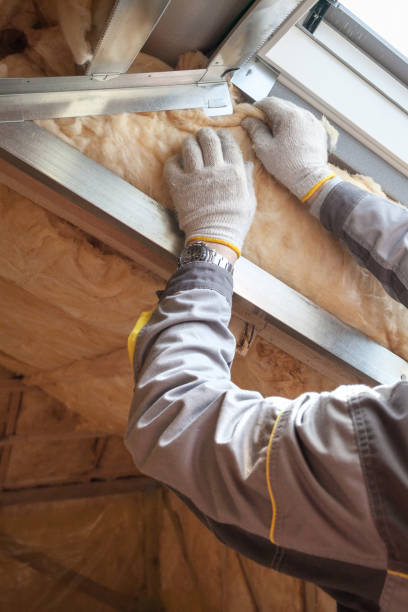 Best Insulation Replacement Services  in USA